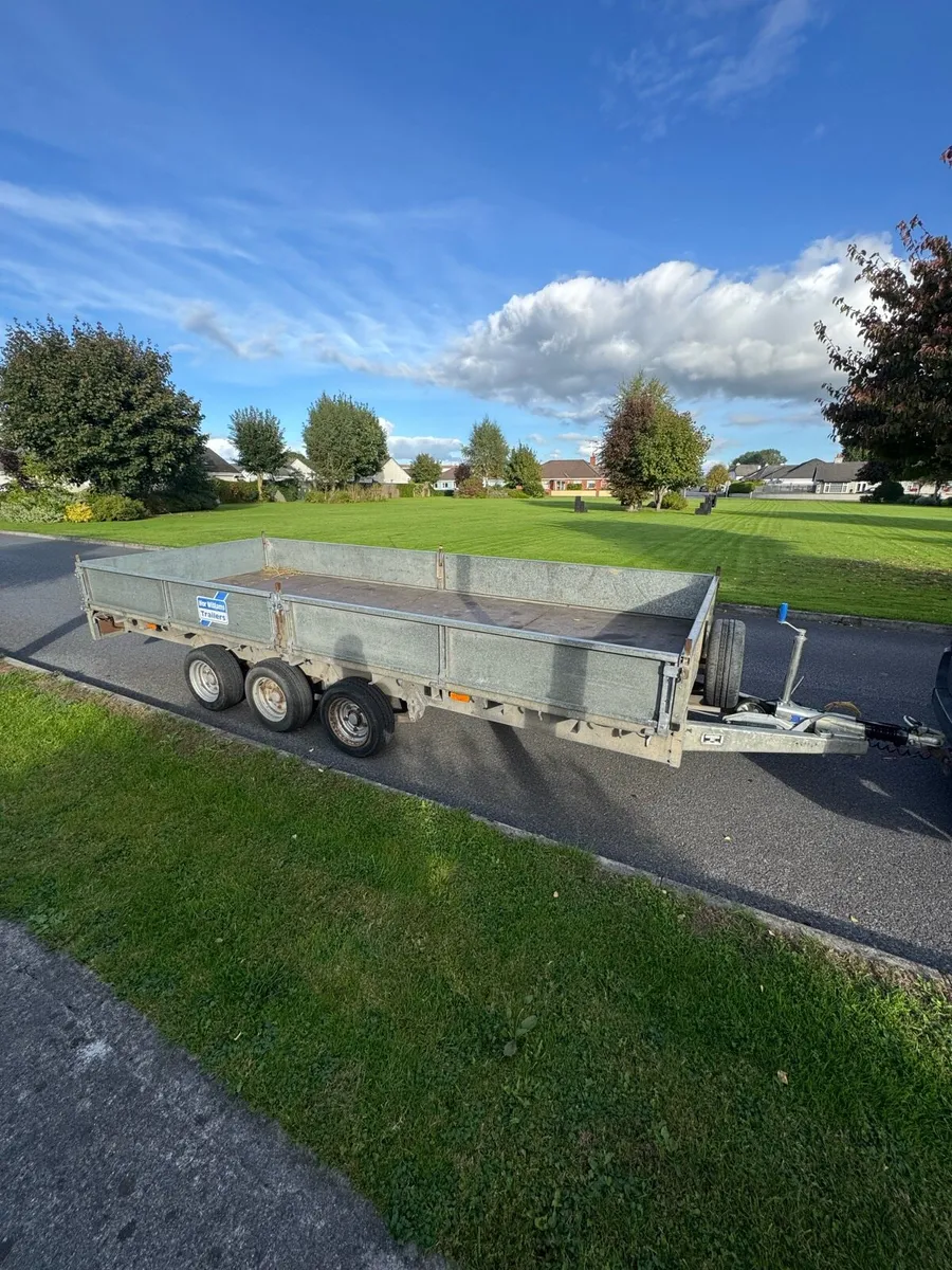 16ft Ifor williams trailer - Image 2