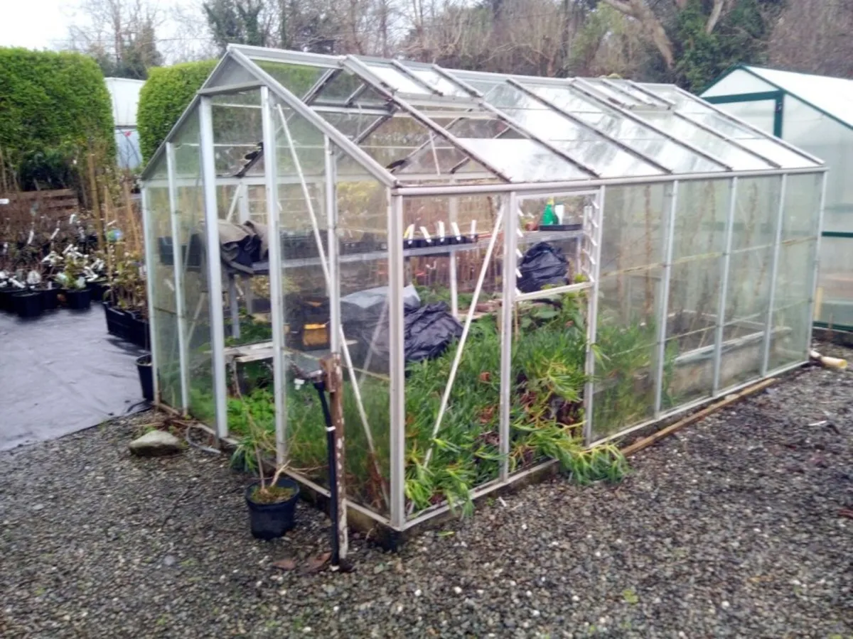 Wanted: Greenhouse Frame - Image 4