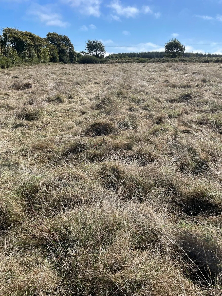 Haylage - Image 2