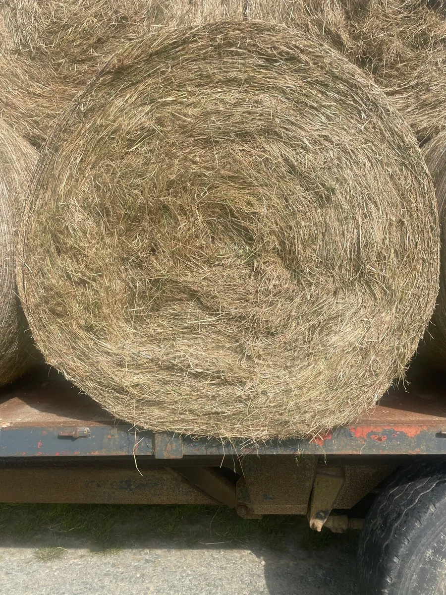 Haylage - Image 3