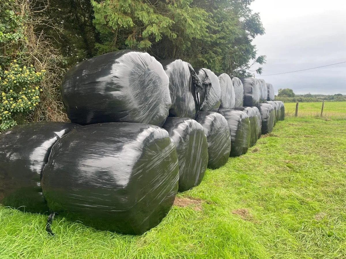 Haylage - Image 1