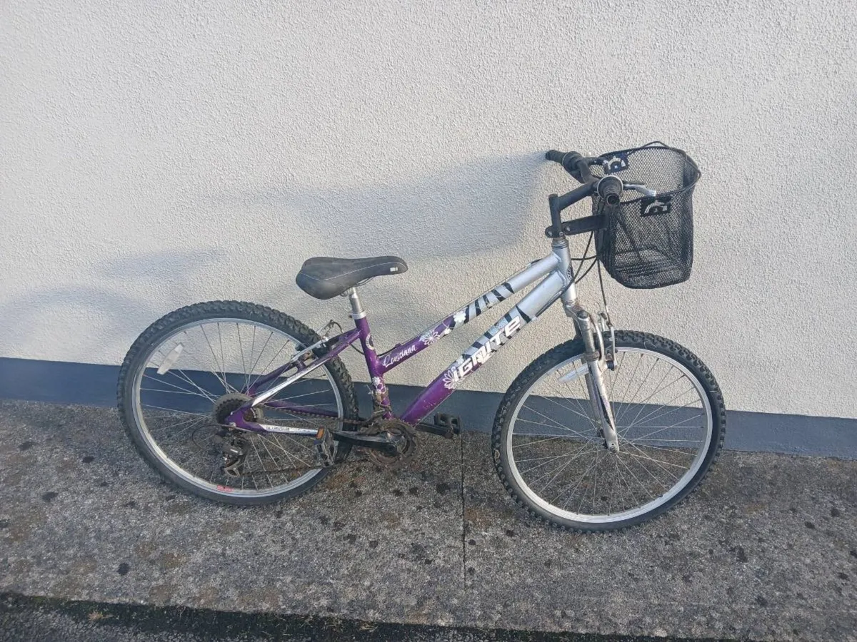 Mountain bike - Image 1