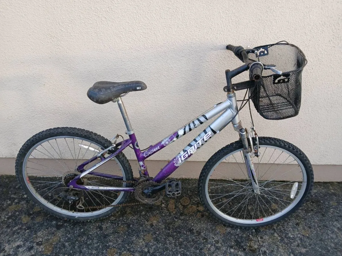 Mountain bike - Image 2