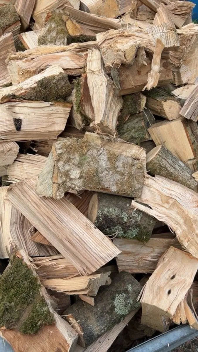 firewood - Image 2