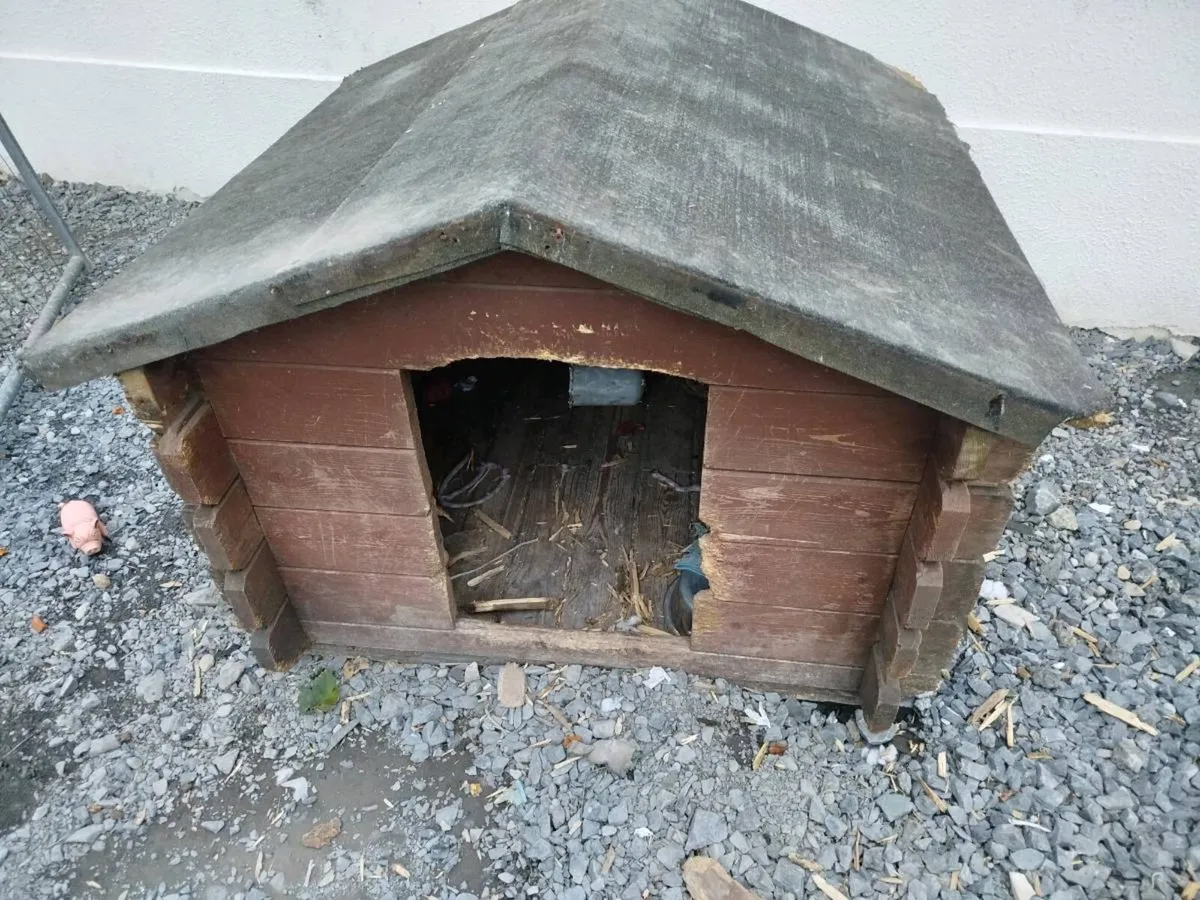 Large Dog Kennel