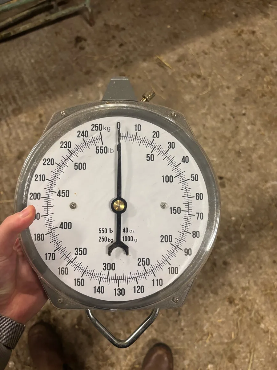 Weighing Scales - Image 1