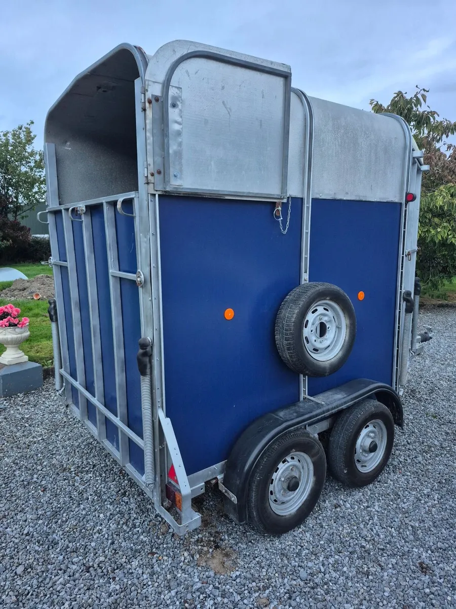 Ifor Williams 505 Horsebox - Image 3