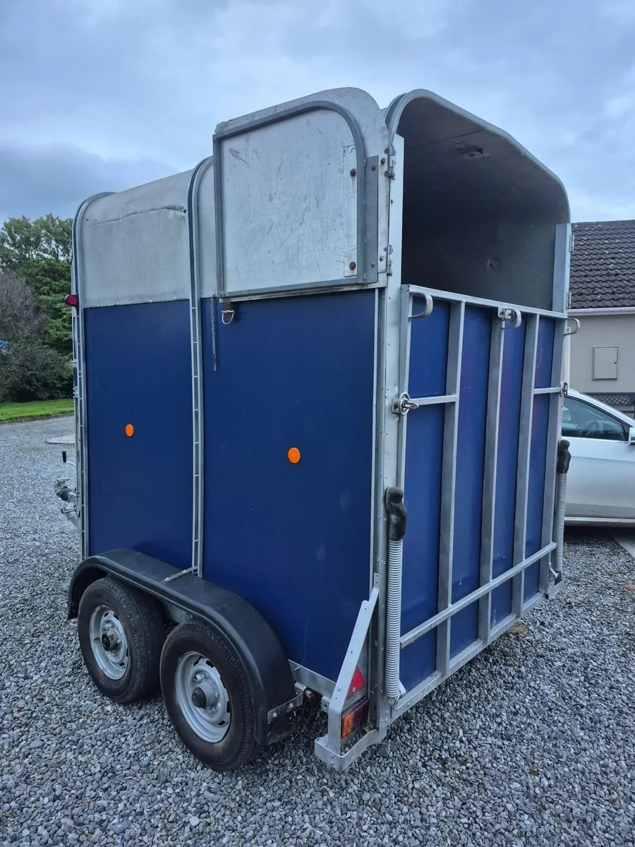 Ifor Williams 505 Horsebox - Image 2
