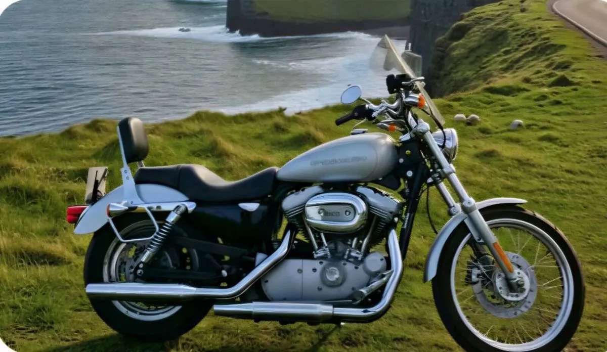 Harley-davidson 883 Sportester 04 - Image 1