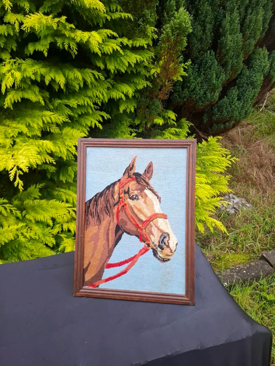 Horse canvas possible to post