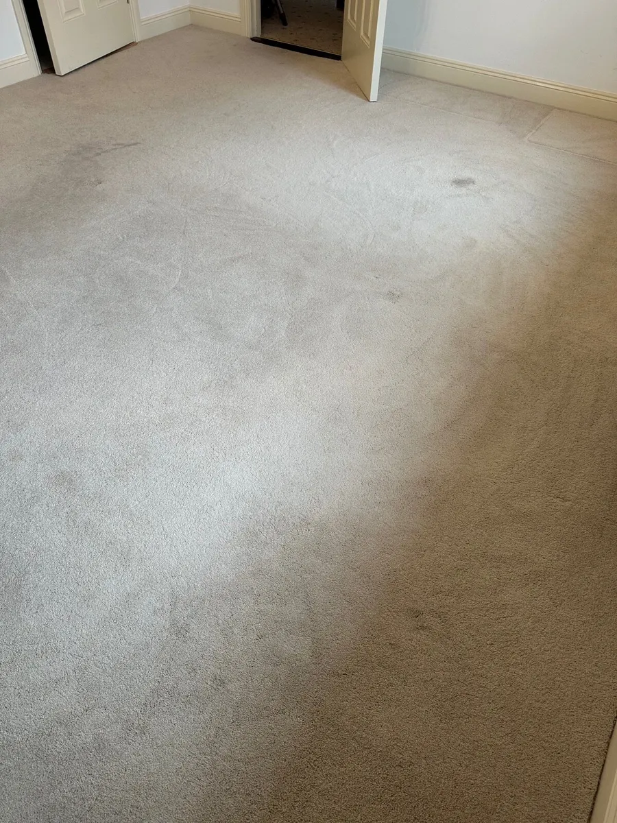 Carpet