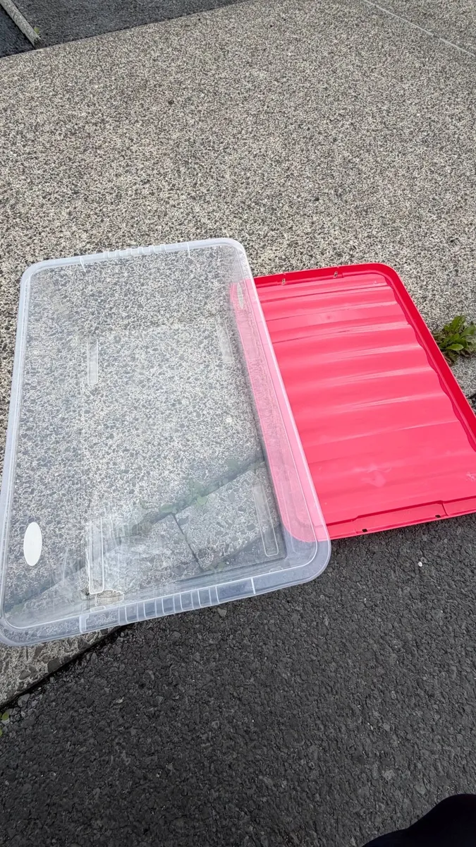 Box - Image 3
