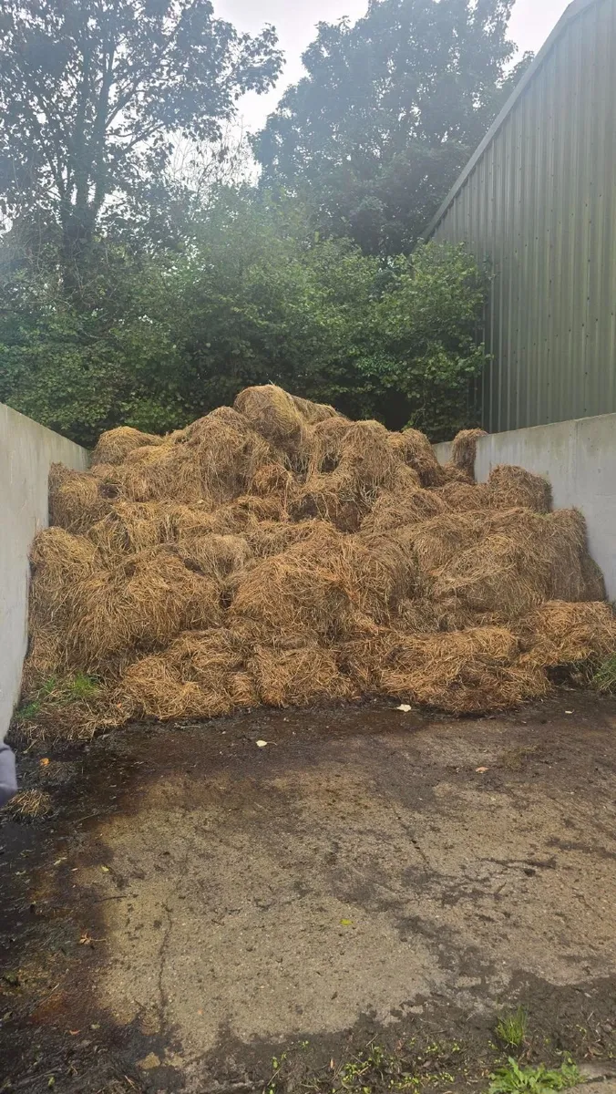 Horse Manure For Taking Away
