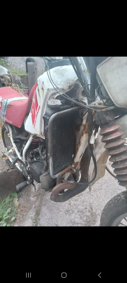 Vintage bike - Image 3