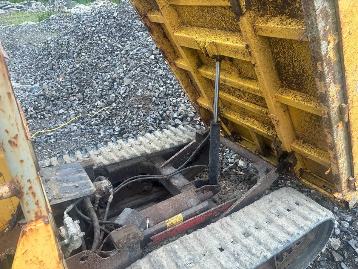Track dumper - Image 4