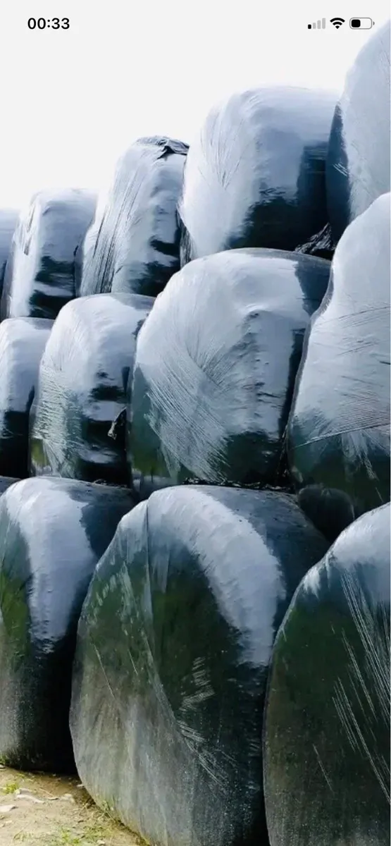 Silage delivered wanted