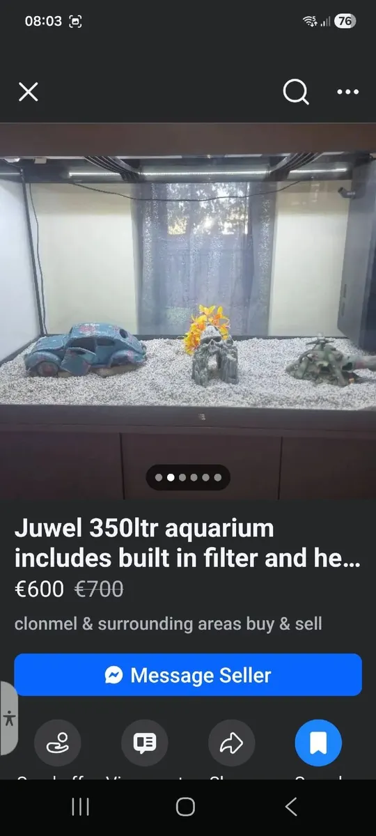Fish tank - Image 1