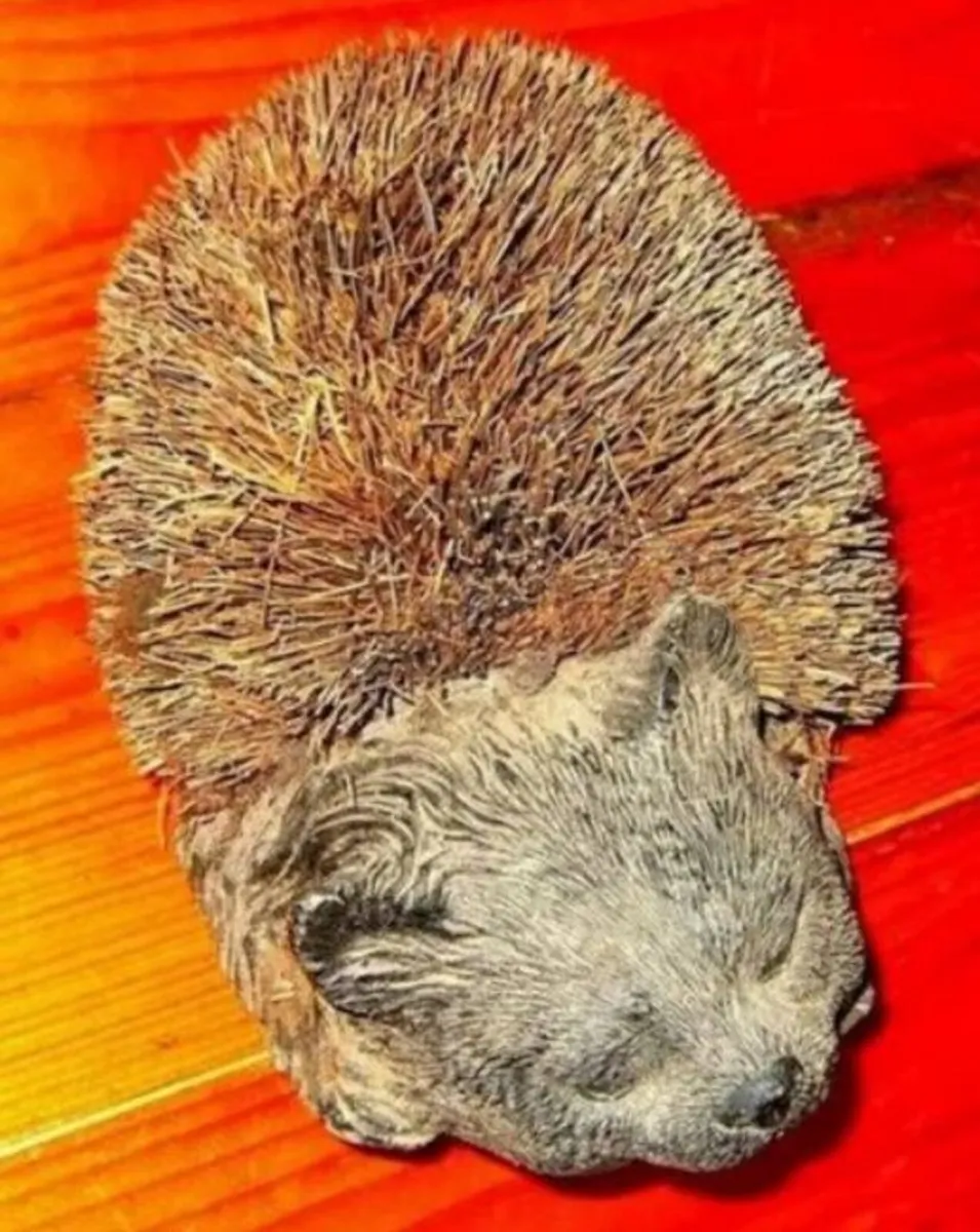 Vintage Boot Brush - Image 4
