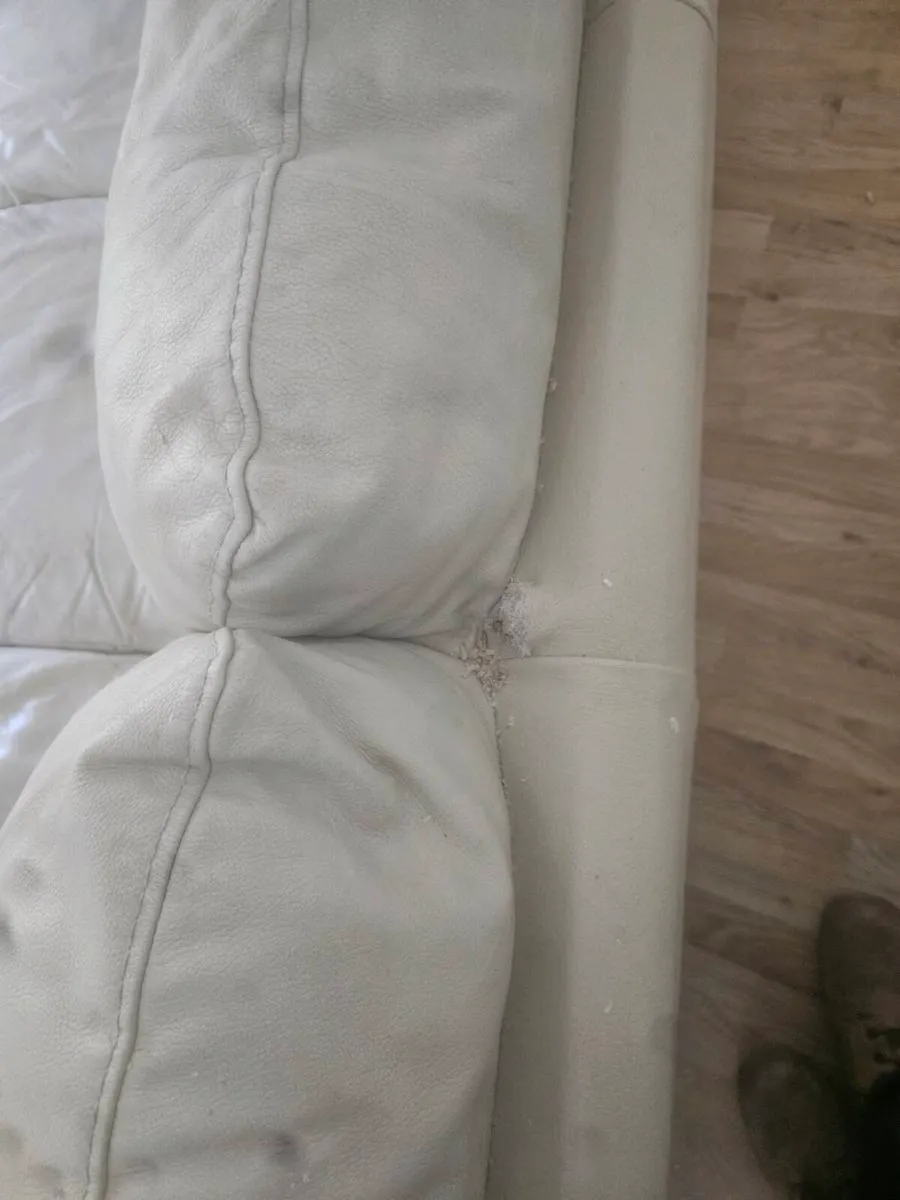 Leather sofa 3 & 2 - Image 3