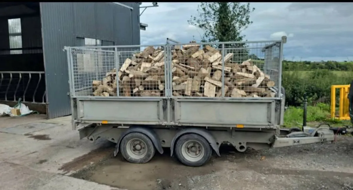 Ash Firewood