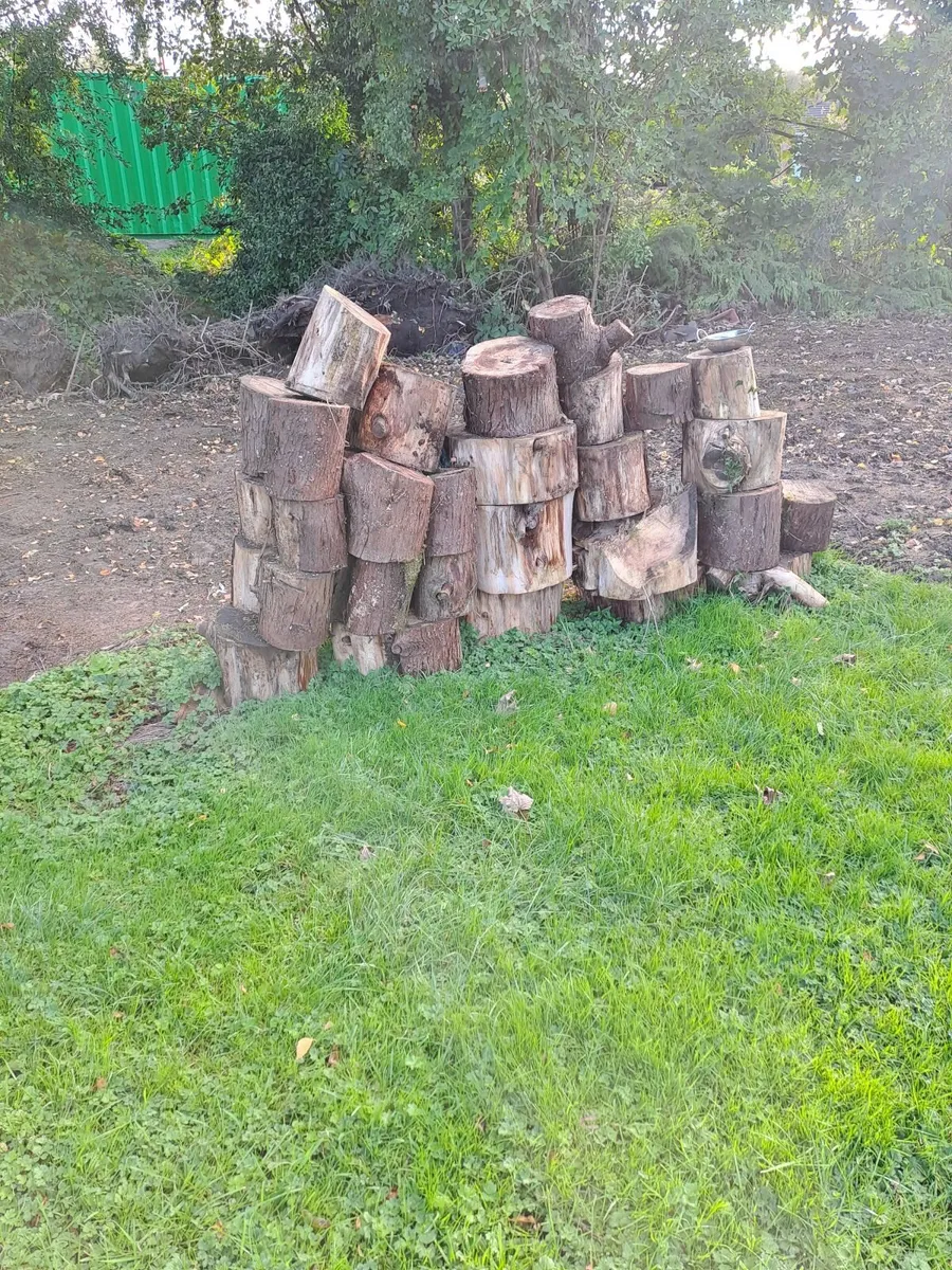 Timber - Image 1