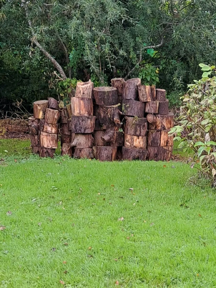 Timber - Image 2