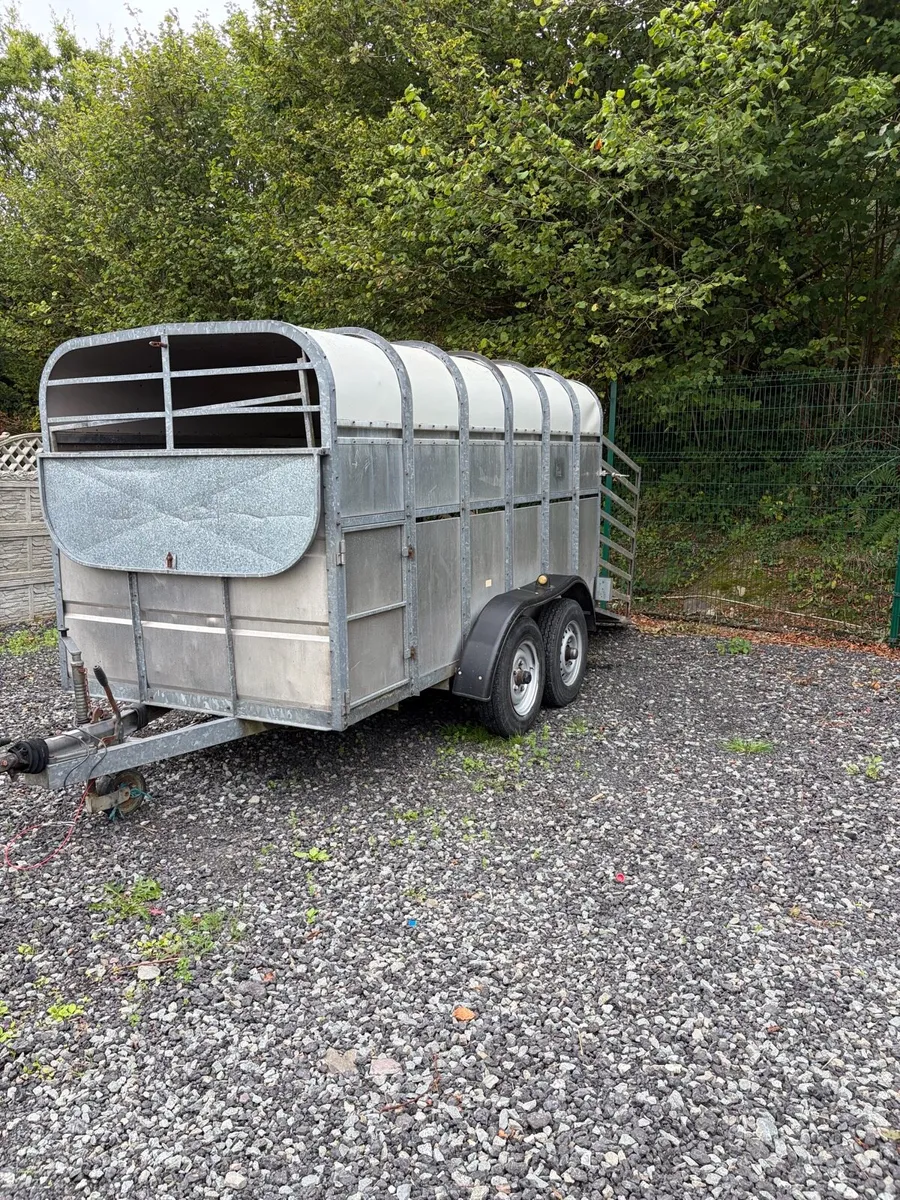 12 x 6 cattle trailer - Image 1