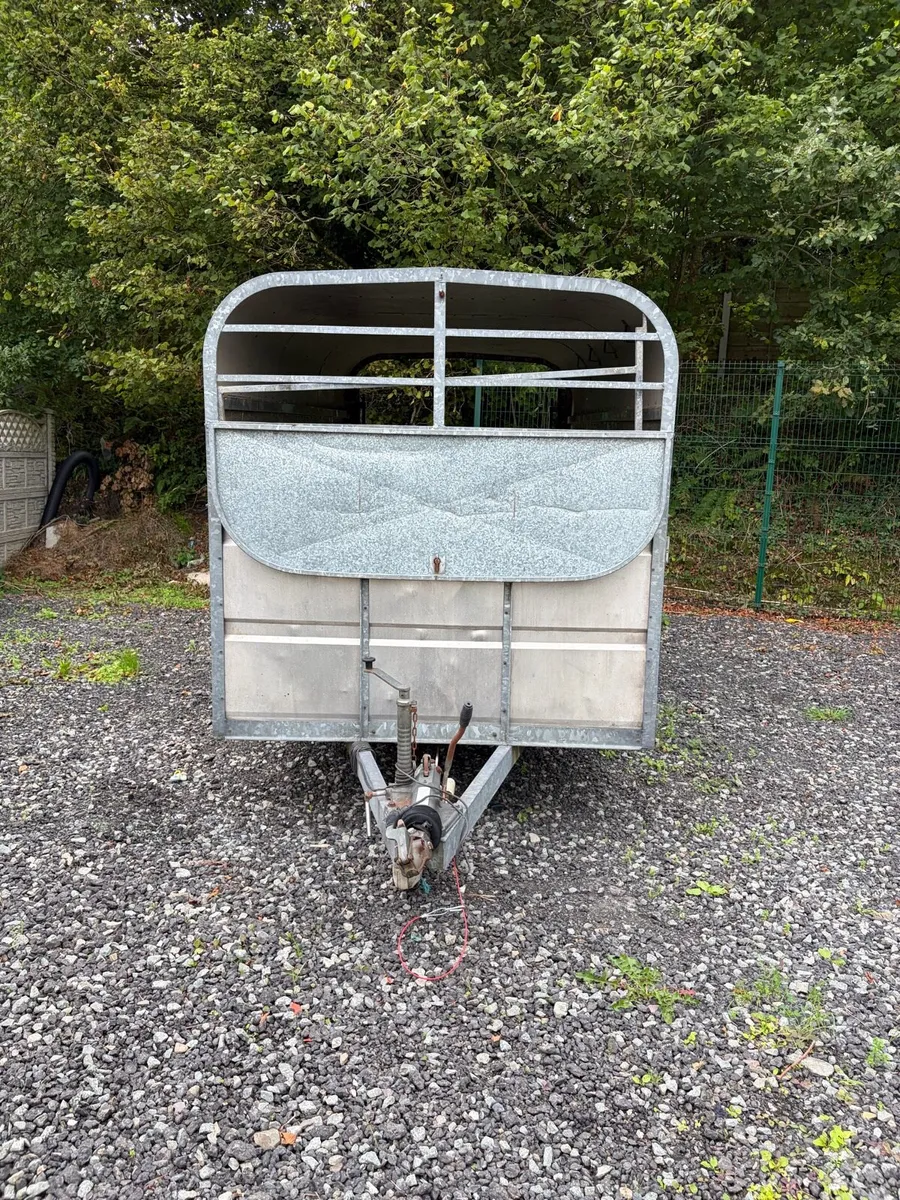 12 x 6 cattle trailer - Image 2