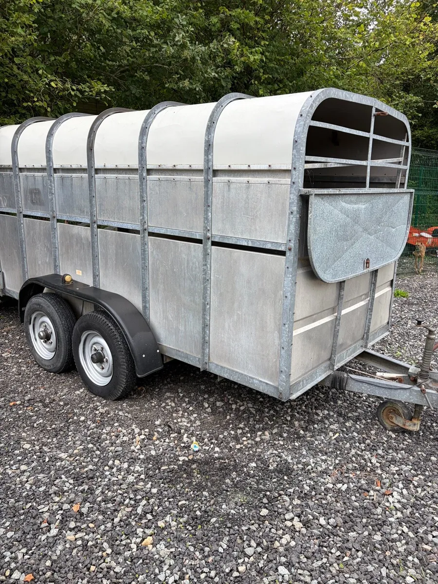 12 x 6 cattle trailer - Image 3