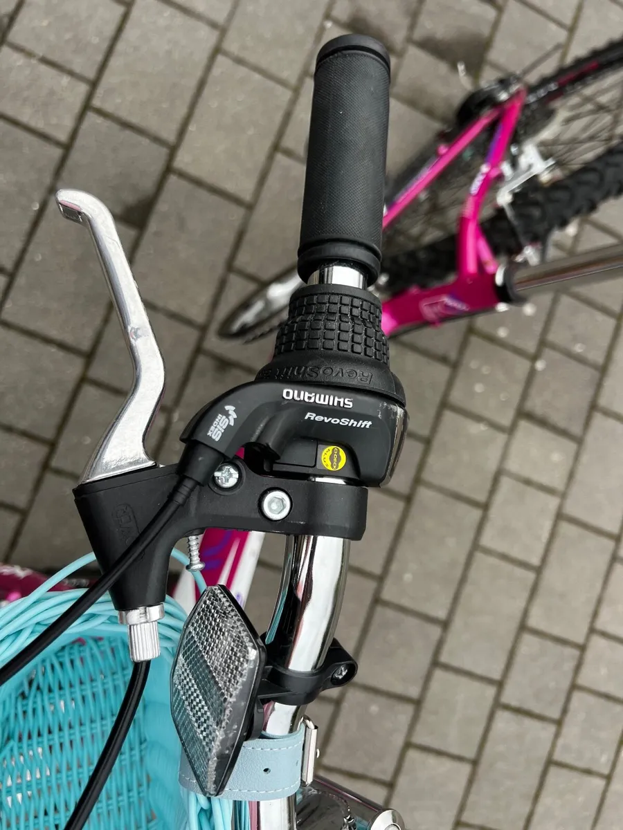 Bentini montare 24” kids bike aluminium frame - Image 2