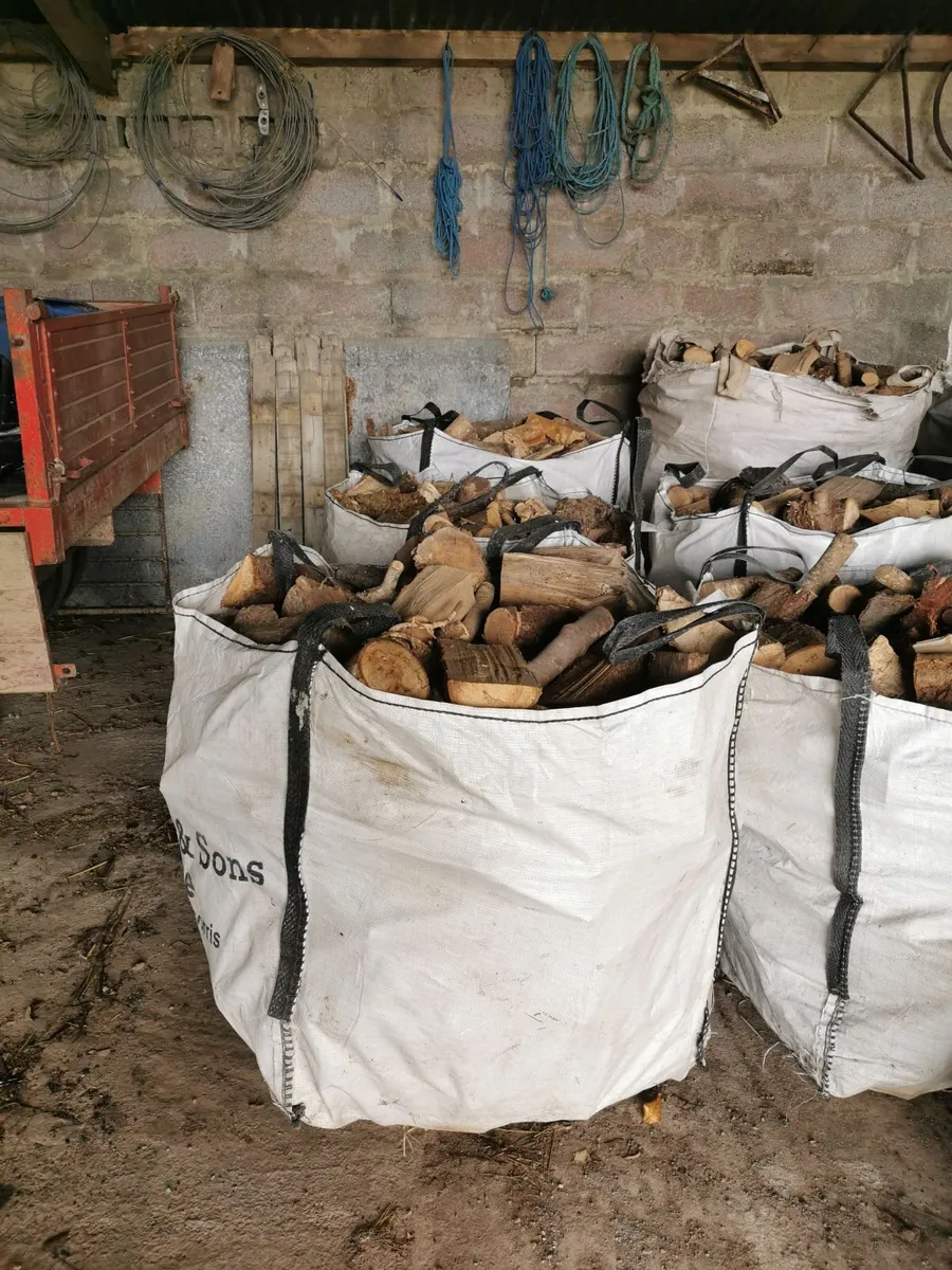 Ash firewood - Image 1
