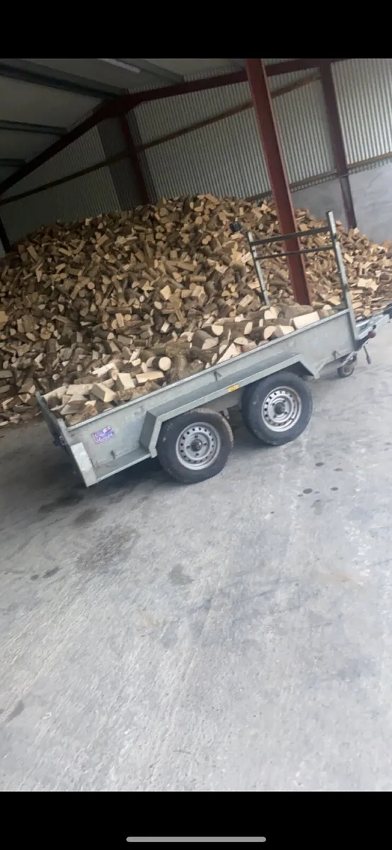 Hardwood firewood - Image 2
