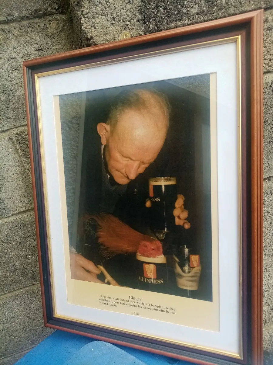 Ginger Fighting Cock - Image 1