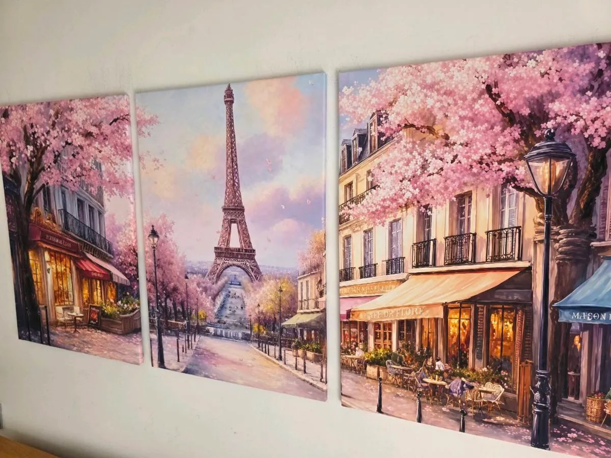 3 framed large canvas poster 46x66cm each size - Image 3