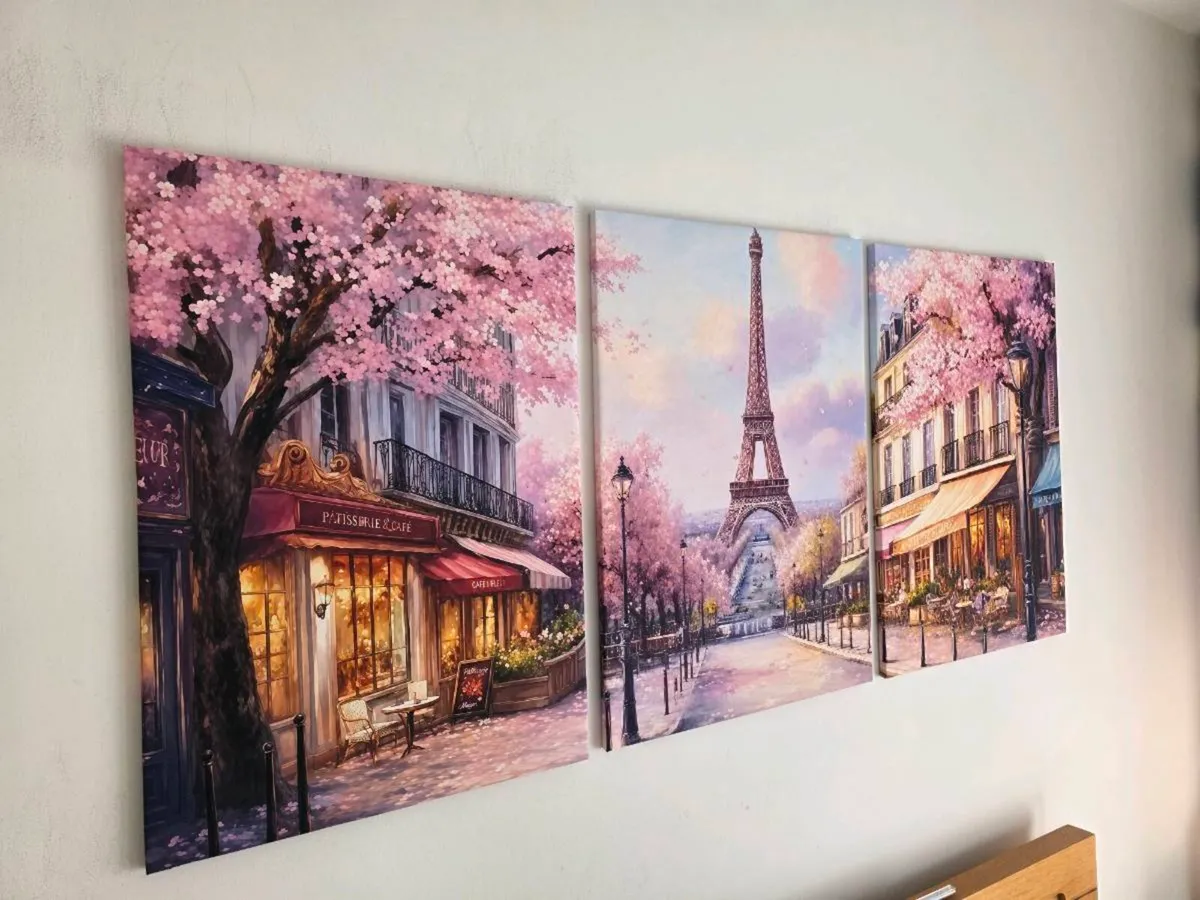 3 framed large canvas poster 46x66cm each size - Image 4