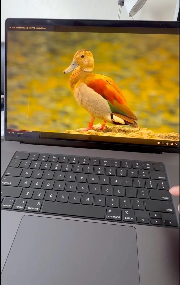 MacBook Pro M3 Pro 12-Core CPU and 18-Core GPU 16" - Image 4