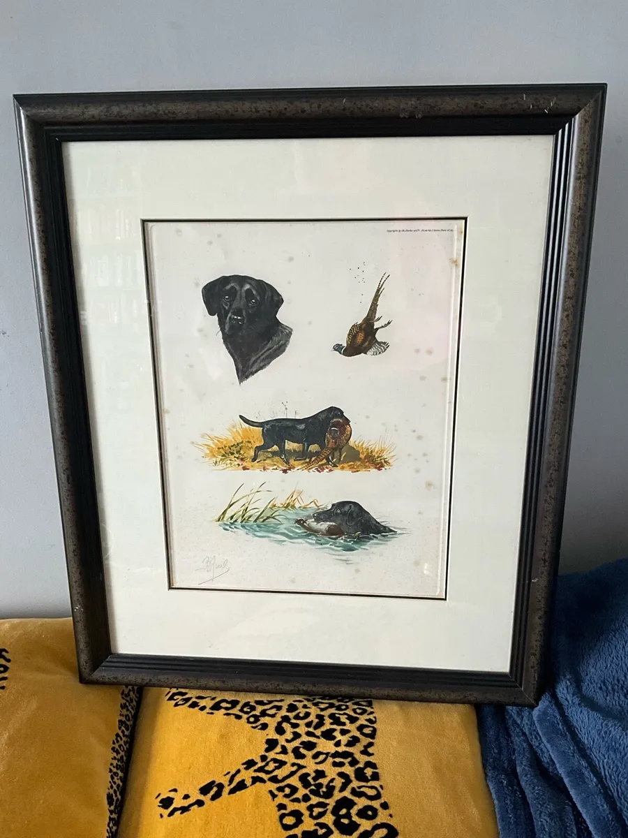 ‘Labrador Hunting Pheasant’ by Artist Boris Riab - Image 1