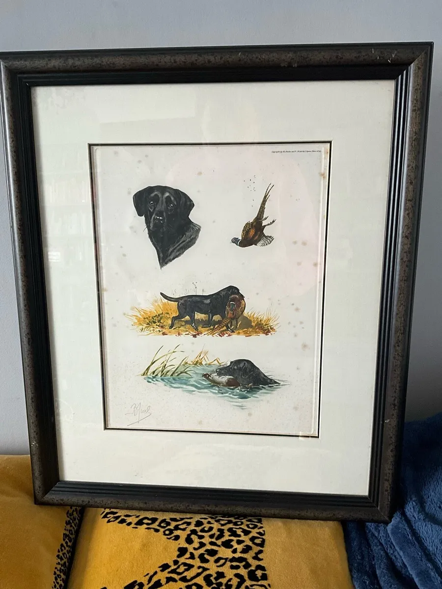 ‘Labrador Hunting Pheasant’ by Artist Boris Riab - Image 2