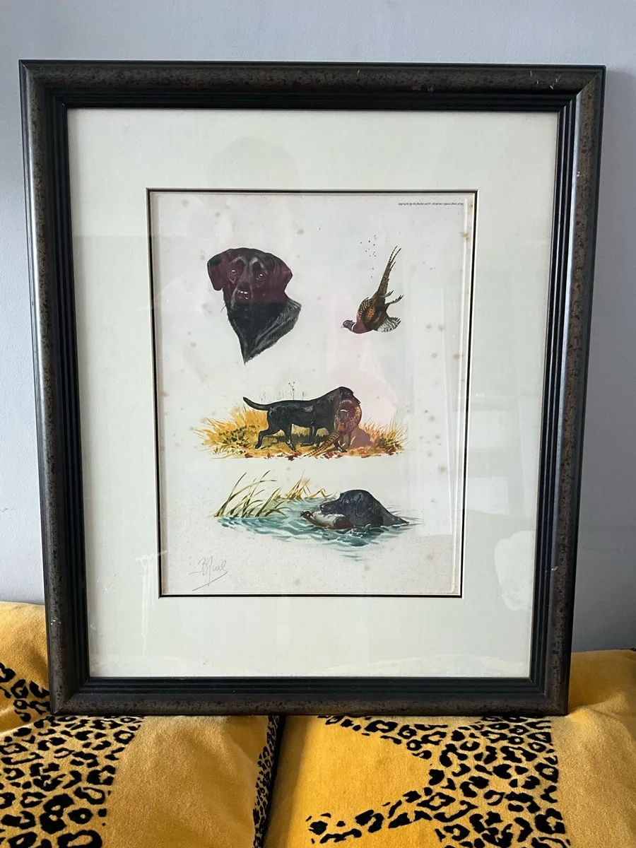 ‘Labrador Hunting Pheasant’ by Artist Boris Riab - Image 4
