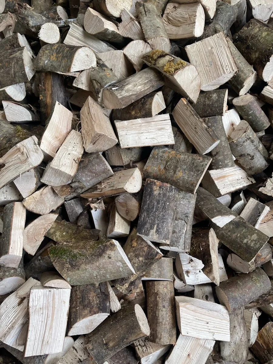 FIREWOOD - Image 1