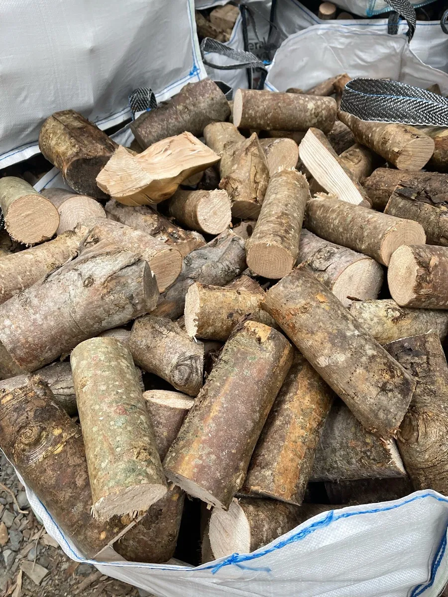 FIREWOOD - Image 3