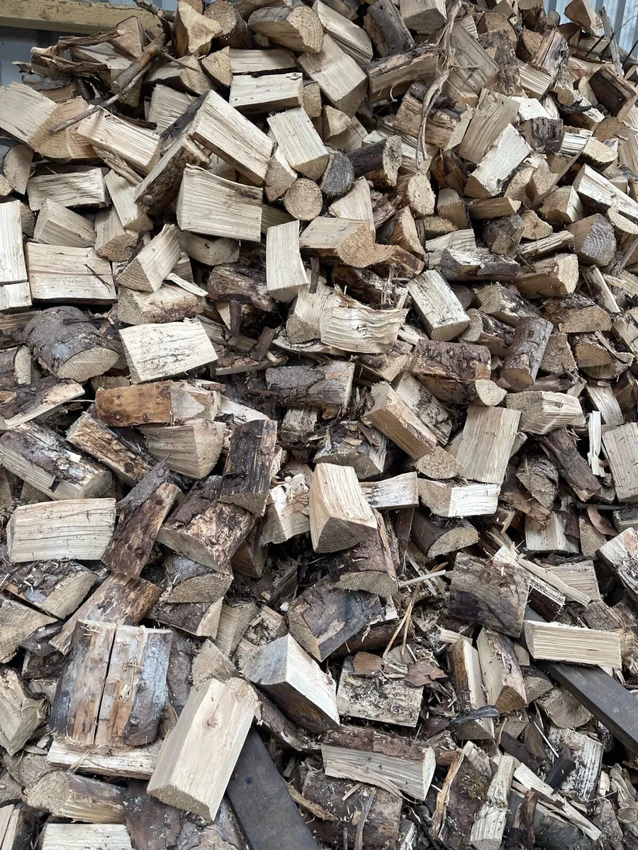 FIREWOOD - Image 4