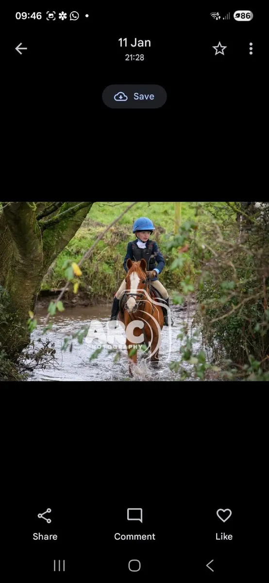 Starter/lead rein Pony - Image 2