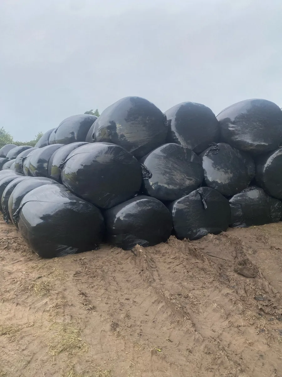 Silage bales