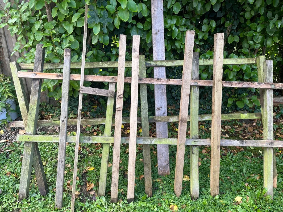 Unwanted woods - Image 2