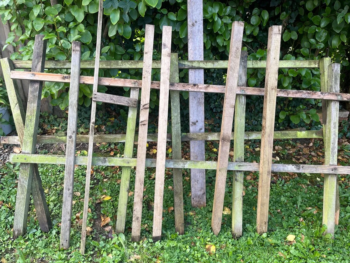 Unwanted woods - Image 3