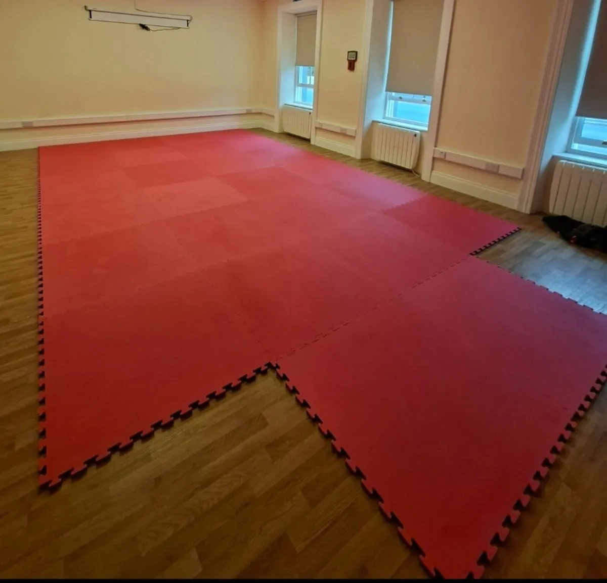 Martial arts mats - Image 1