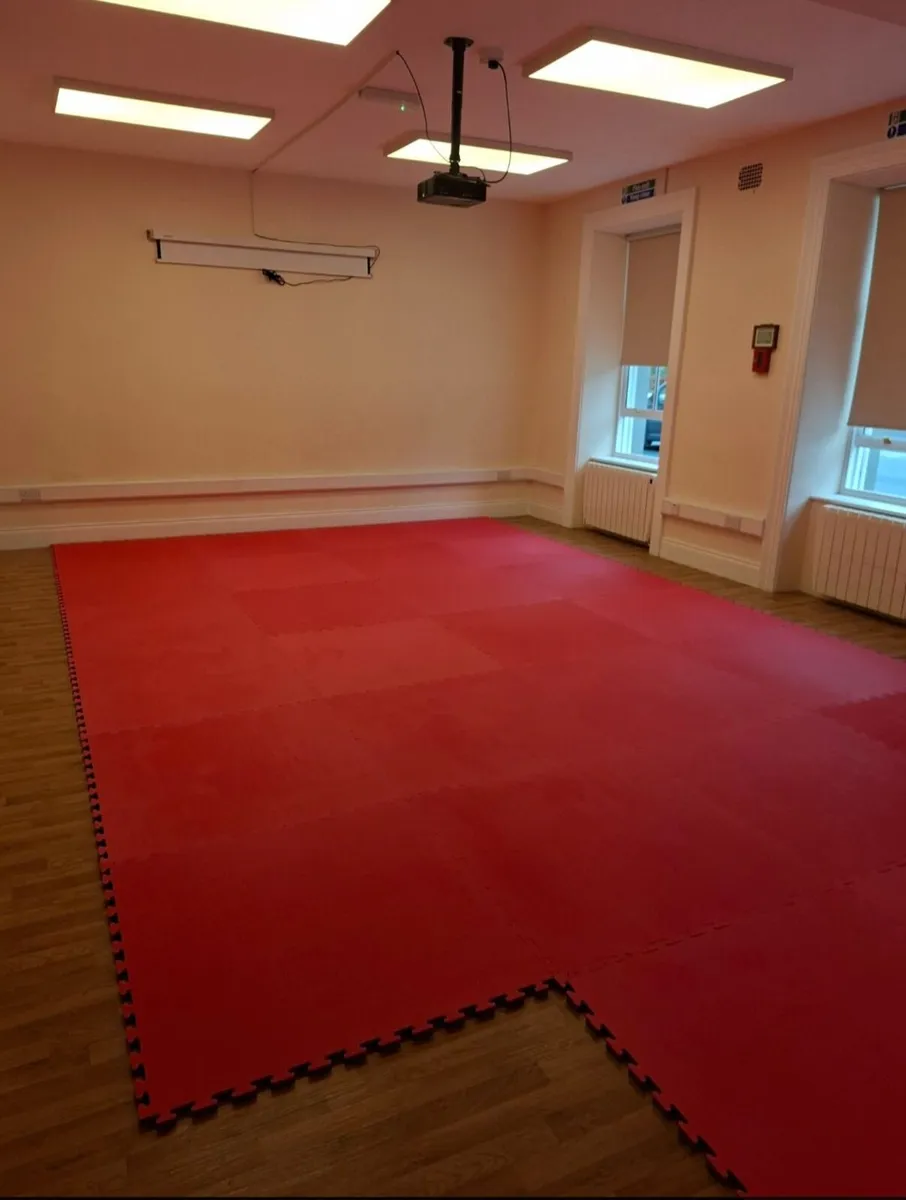 Martial arts mats - Image 2