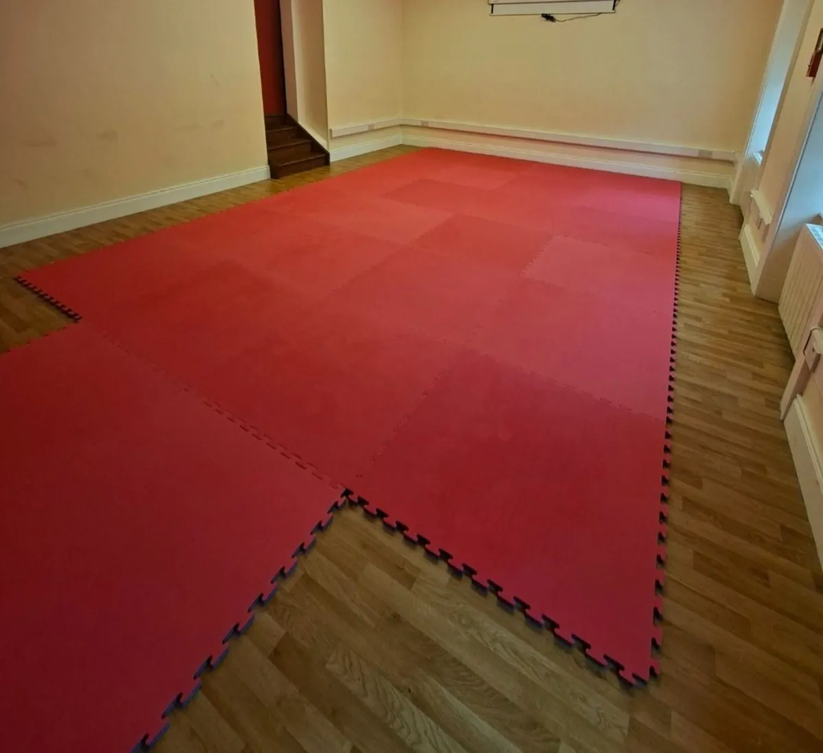 Martial arts mats - Image 3