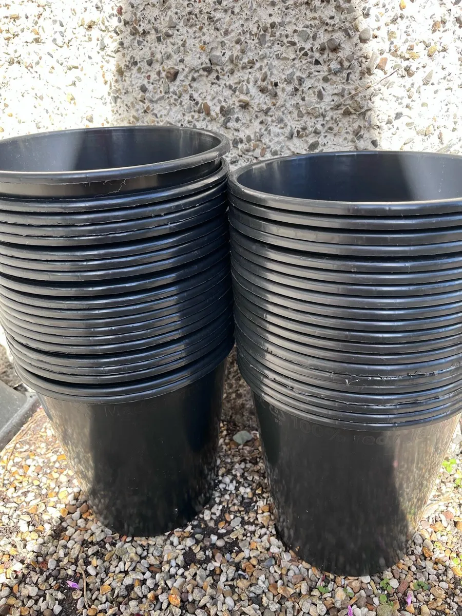 40 Black Buckets - Image 2